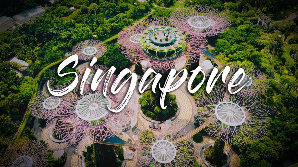 Thành lập công ty Offshore tại Singapore : Sự lựa chọn khôn ngoan cho các nhà khởi nghiệp?