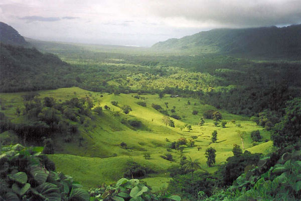 Thành lập doanh nghiệp tại Samoa