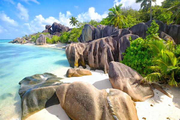 Thành lập doanh nghiệp tại Seychelles